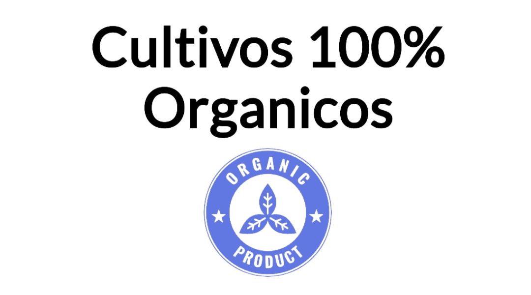 cultivo-1.png